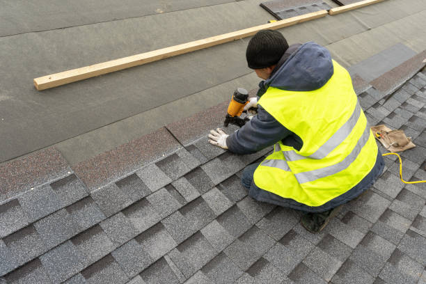 Best Roof Repair Services  in South Wallins, KY