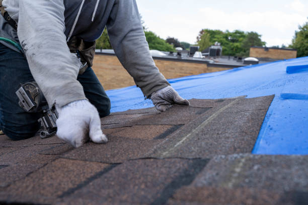 Best Roof Restoration Services  in South Wallins, KY