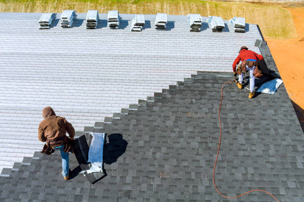 Best Roof Waterproofing Services  in South Wallins, KY